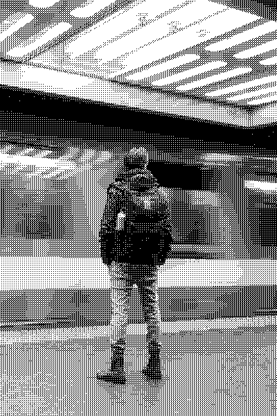 gare6.gif