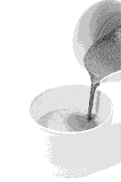 matcha4.gif